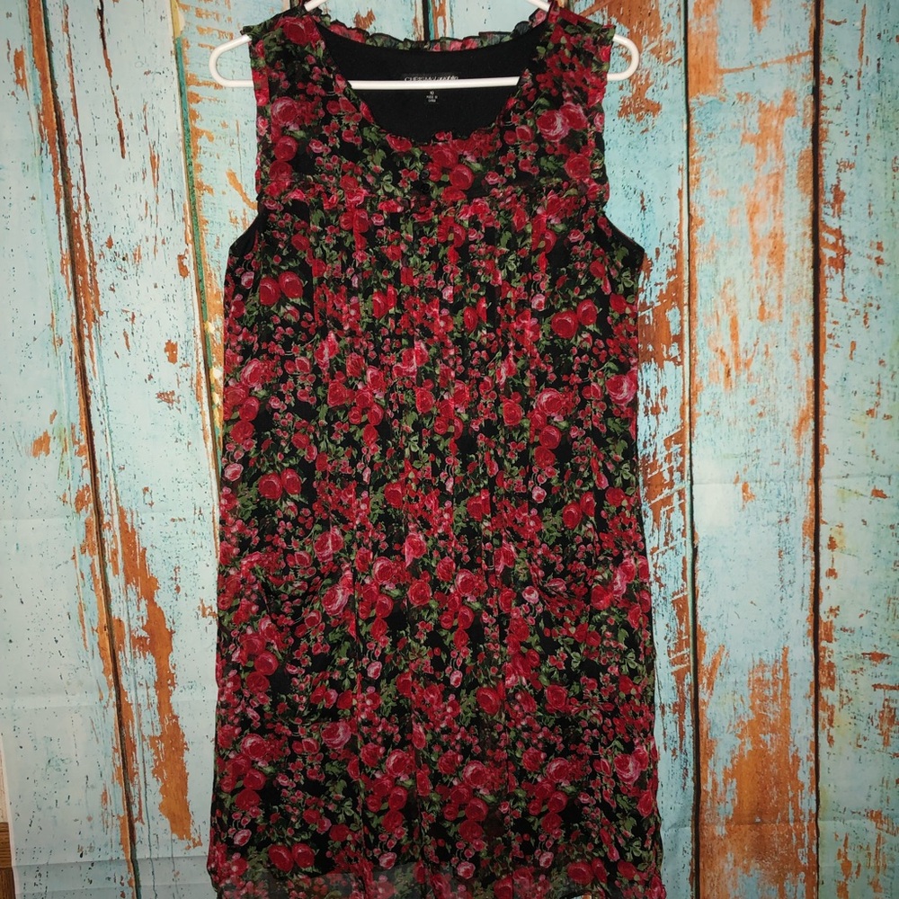 Chris McLaughlin Dress- So cute!!
